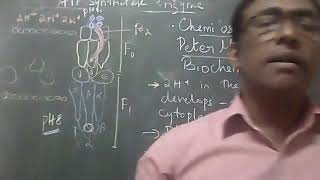 Oxidative Phosphorylation partII Chemiosmotic theory [upl. by Iddet85]