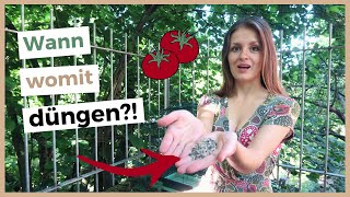 Tomaten richtig düngen 🍅 Nutzt du diese 3 Methoden [upl. by Helene]