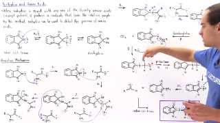 Ninhydrin and Amino Acids [upl. by Hauser]