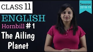 Summary of The Ailing Planet in Hindi  Class 11  hornbill [upl. by Enitsej]