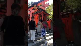 Fushimi inari shrine [upl. by Penland]