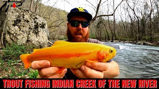 Trout Fishing West Virginias South Indian Creek [upl. by Semajwerdna]