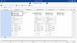 Dayforce Reviewing your timeheet [upl. by Nawtna]