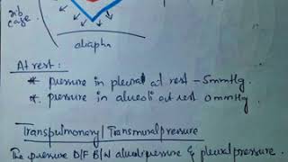 compliance of lungs and chest wall BRS PHYSIOLOGY page 119120 fcps part 1 preperation forum [upl. by Tisha383]