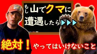 熊 クマに遭遇したら、絶対やってはいけないこと！ [upl. by Nylirrej]