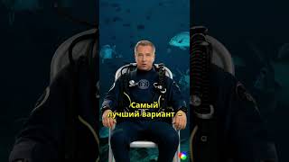 Что делать при нападении АКУЛЫ ocean интересныефакты oceanlife shorts [upl. by Toma]