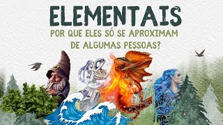 ELEMENTAIS  POR QUE ELES SÓ SE APROXIMAM DE ALGUMAS PESSOAS [upl. by Kielty395]