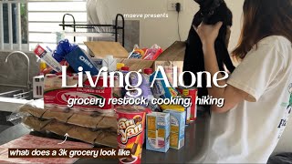 Living Alone in the Philippines What does a 3k grocery look like ref restock cooking hiking 🏔️ [upl. by Aina]