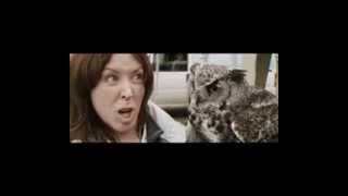 Sightseers 2013 DVDRIP Full Movie Part 2 of 7 [upl. by Utas]