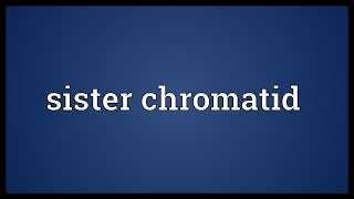 Sister chromatid Meaning [upl. by Adniles]