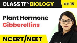 Class 11 Biology Chapter 15  Plant Hormone Gibberellins  Plant Growth and Development [upl. by Aicetal]