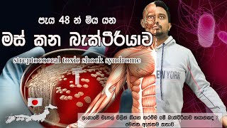 පැය 48 න් මිය යන මස් කන බැක්ටීරියාව  What is streptococcal toxic shock syndrome  stss  Japan [upl. by Erreid]