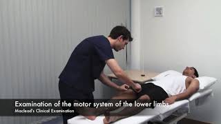 Macleods examination of the motor system of the lower limbs [upl. by Damon]