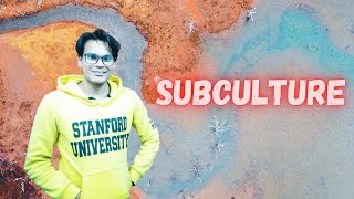 Subculture  Culture  Sociology Lectures  Lectures by Waqas Aziz  Waqas Aziz [upl. by Liss]