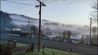 a view of Whangarei new Zealand [upl. by Burhans]