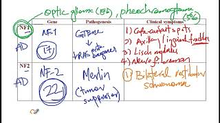 Video 216 Neurofibromatosis Type 1 NF1 amp Type 2 NF2 Genes Pathogenesis and Clinical Symptoms [upl. by Meredith]