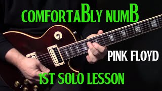 how to play quotComfortably Numbquot first guitar solo by Pink Floyd  lesson tutorial  LESSON [upl. by Verney]