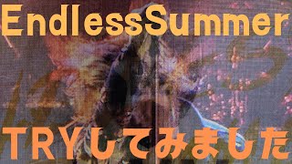 Endless Summer Bz XXV LIVEGYM 2013 TRYしてみました [upl. by Ydak]