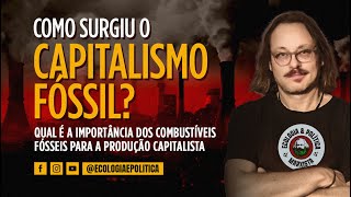 O que é o Capitalismo Fóssil EP 5 [upl. by Aenehs275]