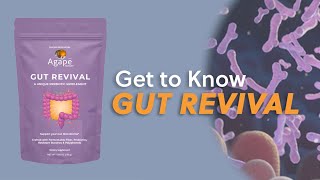 Get to Know Gut Revival [upl. by Eivad]