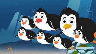 Five Little Penguins  Penguins Song  Nursery Rhymes  Children Rhyme [upl. by Fulmer]