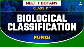 BIOLOGICAL CLASSIFICATION04  KINGDOM FUNGI CLASS 11  NEET SANJEEVANI BATCH  BOTANY BY SANKALP [upl. by Dugas]