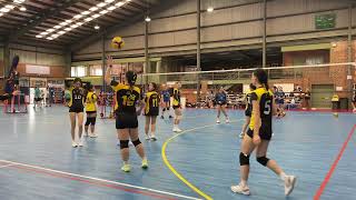 unsw vs usyd [upl. by Hagen]