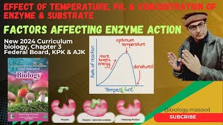 Factors Affecting Rate of Enzyme Action  Temperature pH amp Conc of Substrate amp Enzyme  2024 [upl. by Greg134]