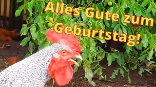 Alles Gute zum Geburtstag [upl. by Beebe]