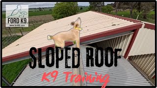 quotSloped Roofquot K9 Training [upl. by Sabah]