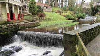 Bardon Mill  Vindolanda  Crag Lough  Sycamore Gap with Interesting Walks NE 79 miles [upl. by Lotsyrk]