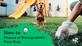 Compostable vs Biodegradable Dog Poop Bags Are They Really EcoFriendly [upl. by Assed867]