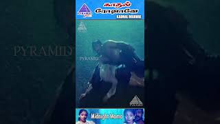 Kadhal Rojavae Movie Songs  Midnight Mama Video Song  George Vishnu  Pooja Kumar  ytshorts [upl. by Gwennie]