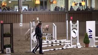 Malu 6 und Duebaree  1 gemeinsamer SpringreiterWB am 28032016 [upl. by Neehs]