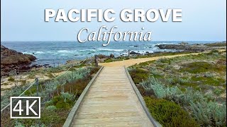 4K The Asilomar Coast Trail  Perfect For A Stroll In Pacific Grove California [upl. by Glyn]