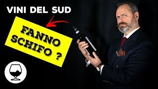 I vini del SUD fanno SCHIFO 18 vini da provare prima di morire [upl. by Finnigan]