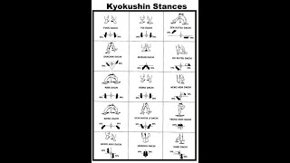 Kyokushin Karate Basic Stances Dachi [upl. by Ansela]