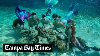 Watch Florida’s professional mermaids swim in Dunnellon’s springs [upl. by Anilemrac763]