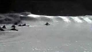 Surfing the Severn Bore April Tides [upl. by Eiralc136]