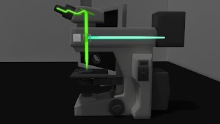 Fluorescence Microscopy Animation [upl. by Borrell]