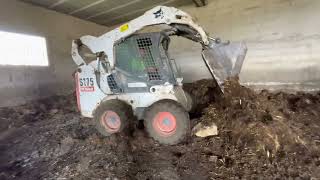 AWESOME BOBCAT Skid steer loader working NICE Operator  BOBCAT S175 [upl. by Yran]