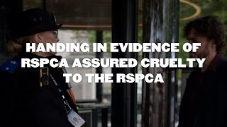 HANDING IN EVIDENCE OF RSPCA ASSURED CRUELTY TO THE RSPCA [upl. by Alihs587]