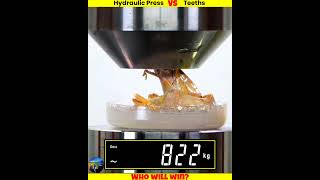 Different Teeth Vs Hydraulic Press shorts whatif uniqueexperiment मजेदारविडिओ [upl. by Marsh951]