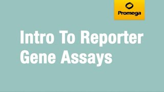 Introduction to Reporter Gene Assays [upl. by Calle]