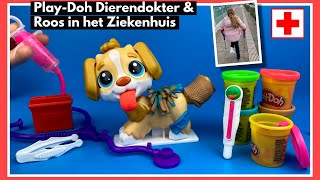 Play Doh Dierendokter en Roos in Ziekenhuis  Family Toys Collector [upl. by Nnylesor]