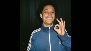 Loyle Carner Type Beat Born And Raised [upl. by Hawkins189]