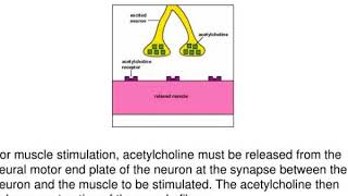 exotoxins cytotoxins neurotoxins enterotoxins enterotoxins [upl. by Nazario384]