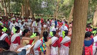 Traditional Oraon Dance and Song  नवा खानी Festival LATEHAR JHARKHAND [upl. by Grubman]