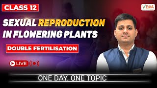 Double Fertilisation Sexual Reproduction in Flowering Plants  class 12Biology  One Day One Topic [upl. by Riess]