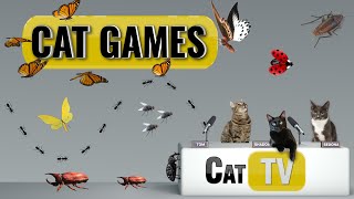 CAT Games  Ultimate Cat TV Bugs and Butterflies Compilation Vol 4 🪲 🐞🦋🦗🐜  Videos For Cats to Watch [upl. by Elatnahs]